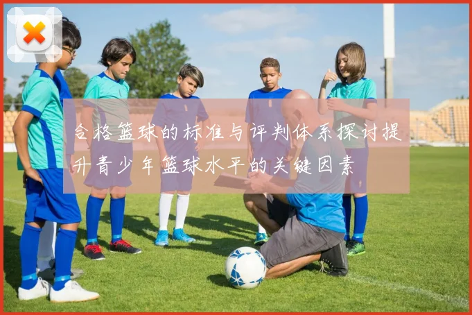 合格篮球的标准与评判体系探讨提升青少年篮球水平的关键因素