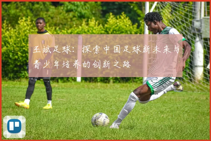 王斌足球：探索中国足球新未来与青少年培养的创新之路