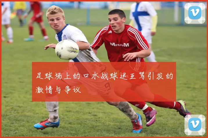 足球场上的口水战球迷互骂引发的激情与争议