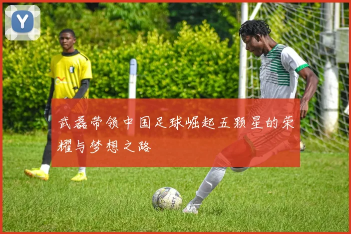 武磊带领中国足球崛起五颗星的荣耀与梦想之路