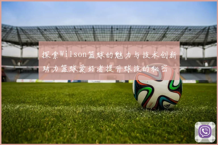 探索Wilson篮球的魅力与技术创新助力篮球爱好者提升球技的秘密