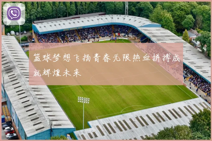篮球梦想飞扬青春无限热血拼搏成就辉煌未来